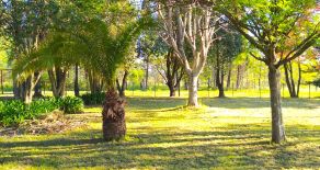 ALQUILER o PERMUTA – Fracción a estrenar, Bº La Quebrada, ruta Nº 9 km. 108, Lima, Bs. As.